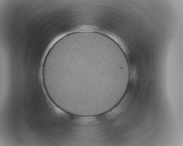 X0000115081486200911241132