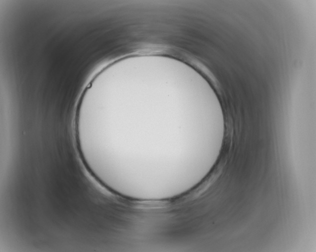 X0000115081487200911241132