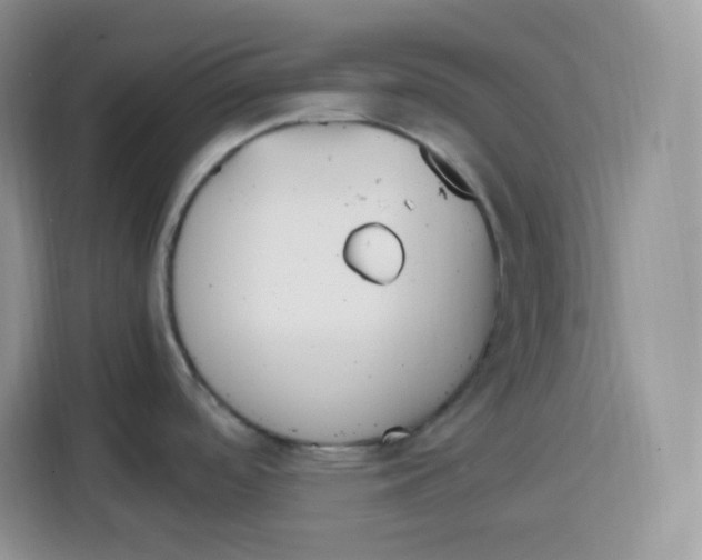 X0000115081488200911241132