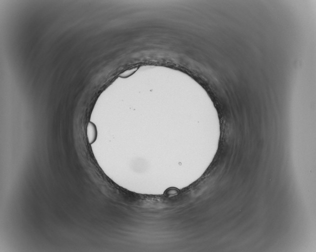 X0000115081489200911241131