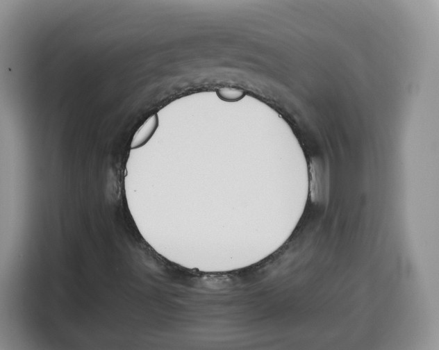 X0000115081491200911241131