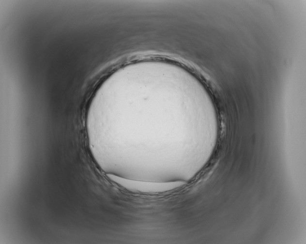 X0000115081494200911241131