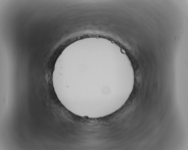 X0000115081495200911241131