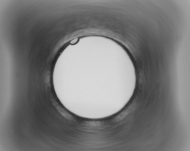 X0000115081499200911241131