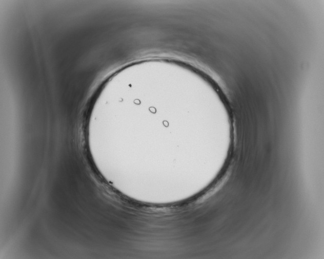 X0000115081501200911241131