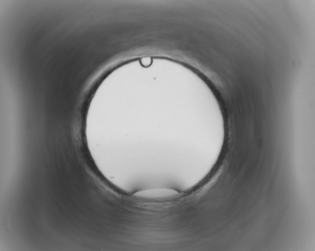 X0000115081502200911241131