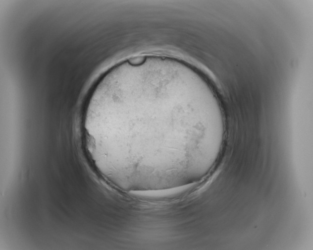 X0000115081506200911241132
