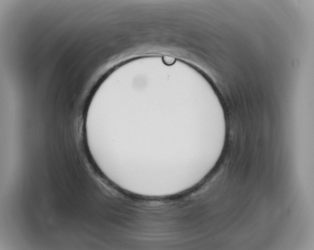 X0000115081507200911241132