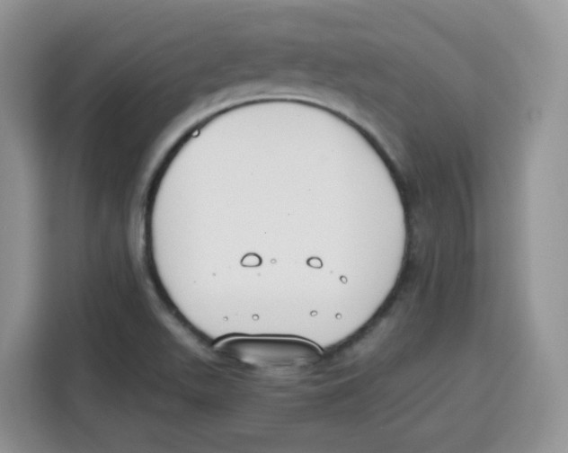 X0000115081511200911241132