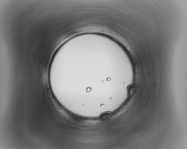 X0000115081513200911241132