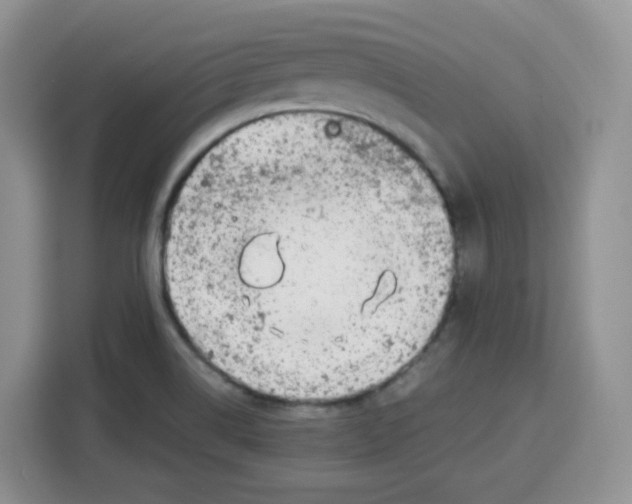 X0000115081514200911241132