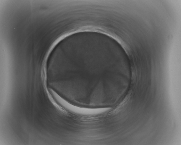X0000115081515200911241132