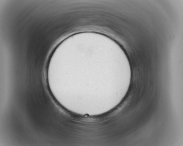 X0000115081517200911241132