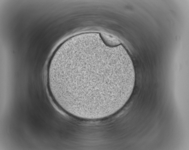 X0000115081519200911241132