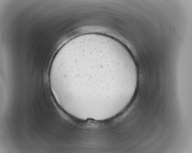 X0000115081521200911241132