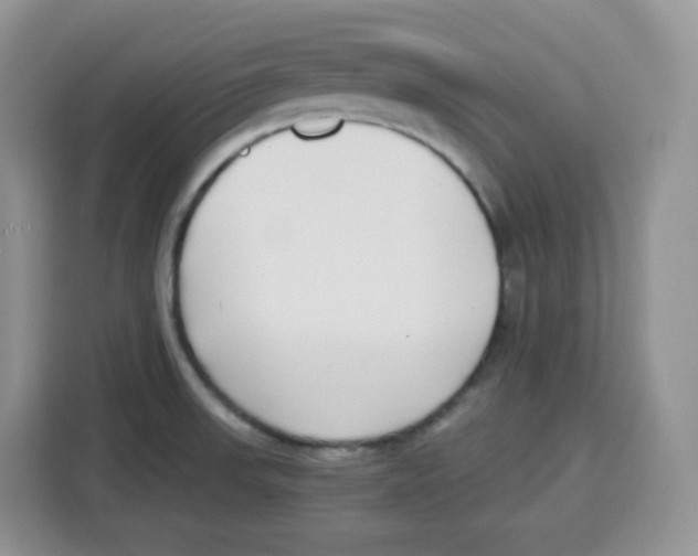 X0000115081523200911241132