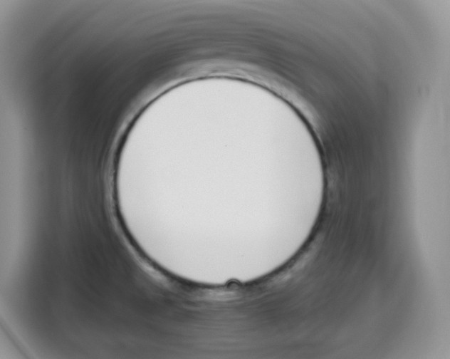 X0000115081525200911241132