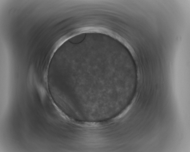 X0000115081529200911241132