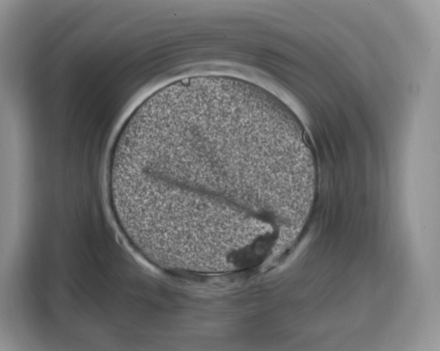 X0000115081533200911241132