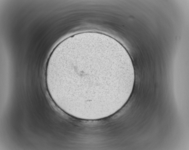 X0000115081534200911241132