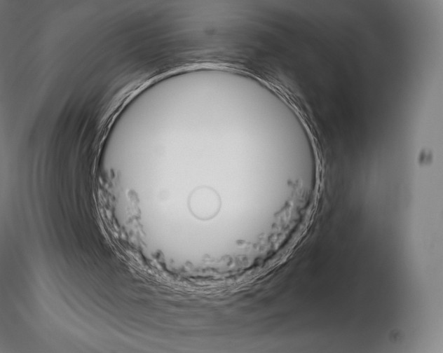 X0000115080001200912081222