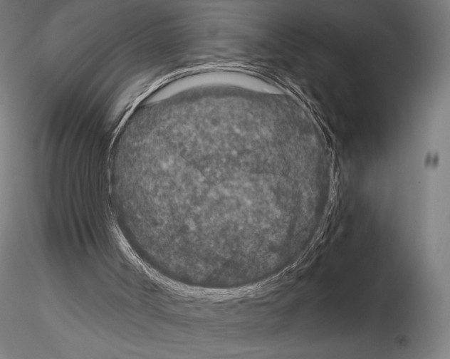 X0000115080002200912081222