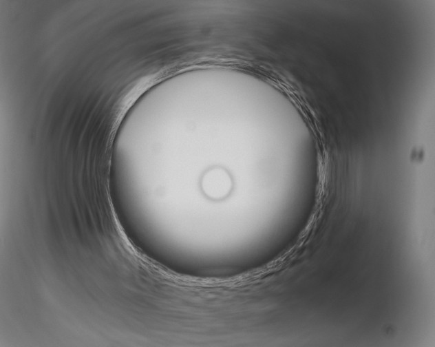 X0000115080003200912081222