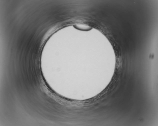 X0000115080004200912081222