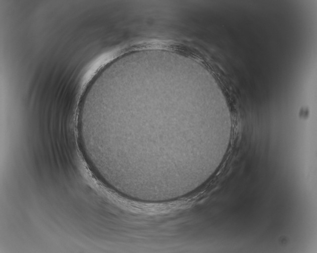 X0000115080006200912081222