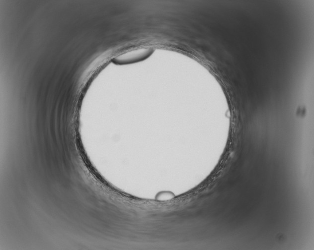 X0000115080007200912081222