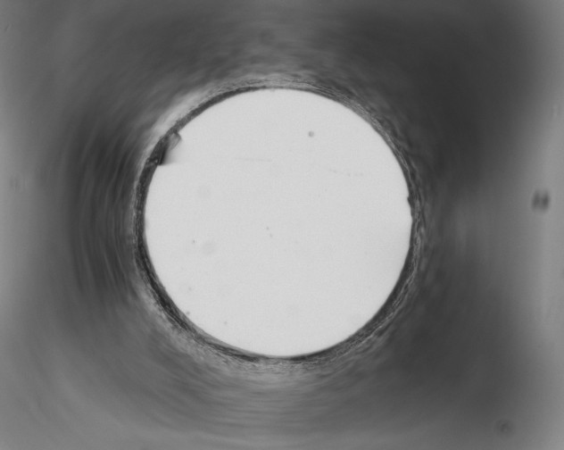 X0000115080008200912081222