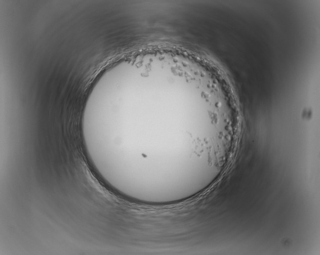 X0000115080009200912081222