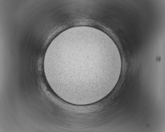 X0000115080010200912081222