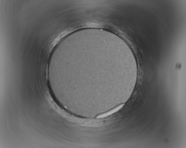 X0000115080011200912081222