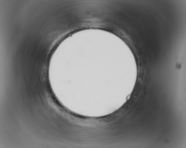 X0000115080012200912081222