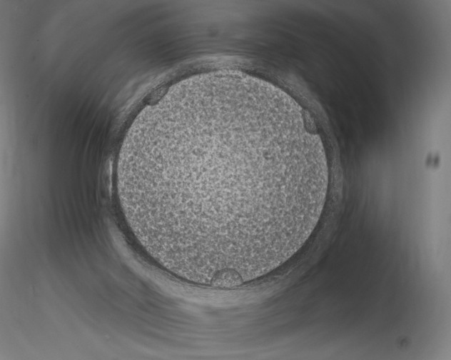 X0000115080014200912081222