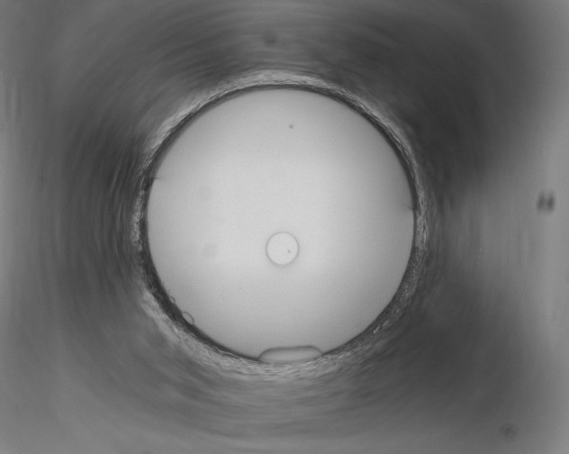 X0000115080015200912081222