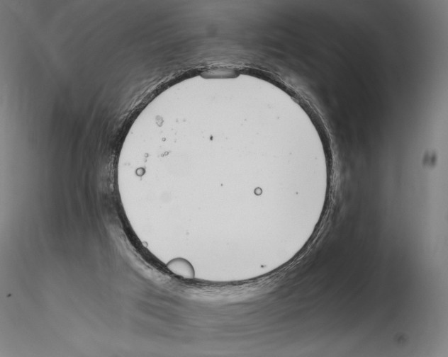 X0000115080017200912081222