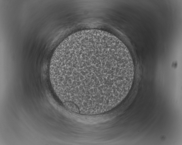 X0000115080018200912081222