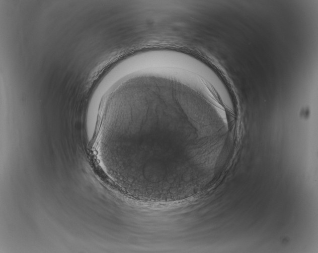 X0000115080019200912081222