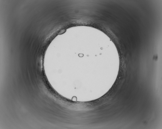 X0000115080020200912081222