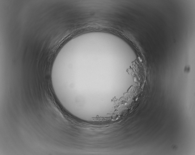 X0000115080021200912081222