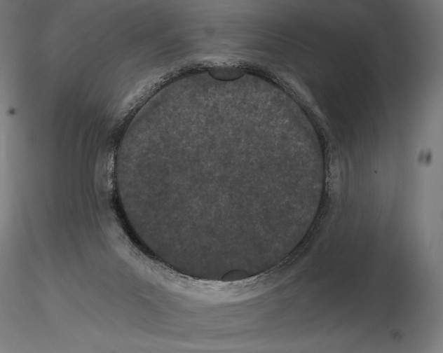 X0000115080023200912081222