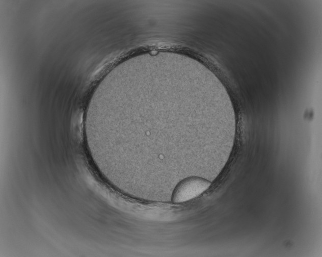 X0000115080024200912081222