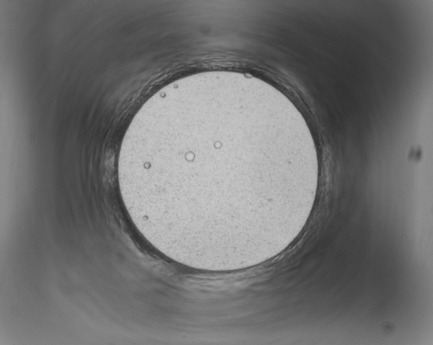 X0000115080025200912081222