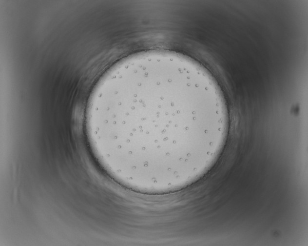 X0000115080026200912081222