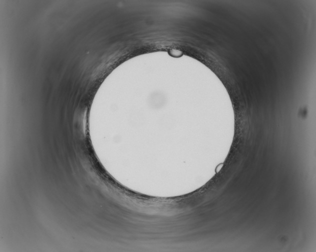 X0000115080028200912081222