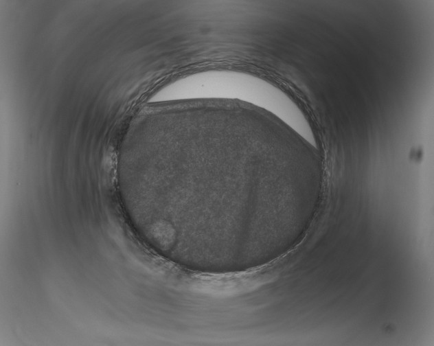 X0000115080029200912081222