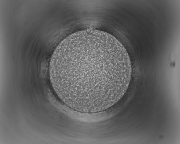 X0000115080030200912081222