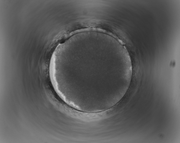 X0000115080031200912081222